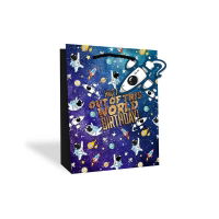 SPACE M/S GIFT BAGS (12s)