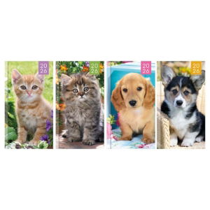 SLIM WTV PHOTO KITTEN/PUPPYDIARY(24s)