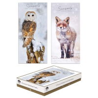 OWL/FOX IN SNOW SLIM BOX 12 CDS(24s)