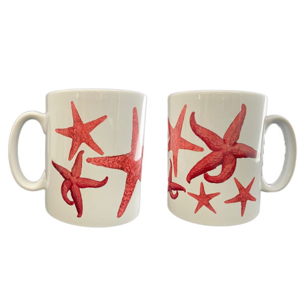 MULTI STARFISH COFFEE MUG UNBOXED (12s)