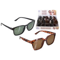 ASSTD ADULTS SUNGLASSES IN D/BOX (25s)