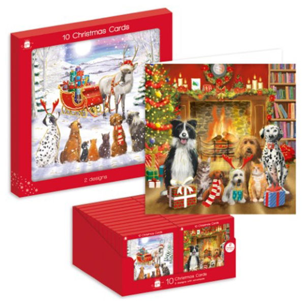 TRAD. PETS WINDOW BOX 10 CARDS(24s)