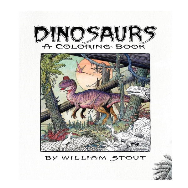DINOSAURS - A COLOURING BOOK