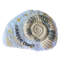 *AMMONITE RESIN MAGNET JURASSIC COAST