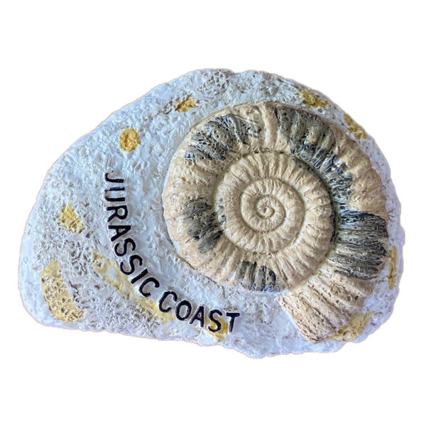 *AMMONITE RESIN MAGNET JURASSIC COAST