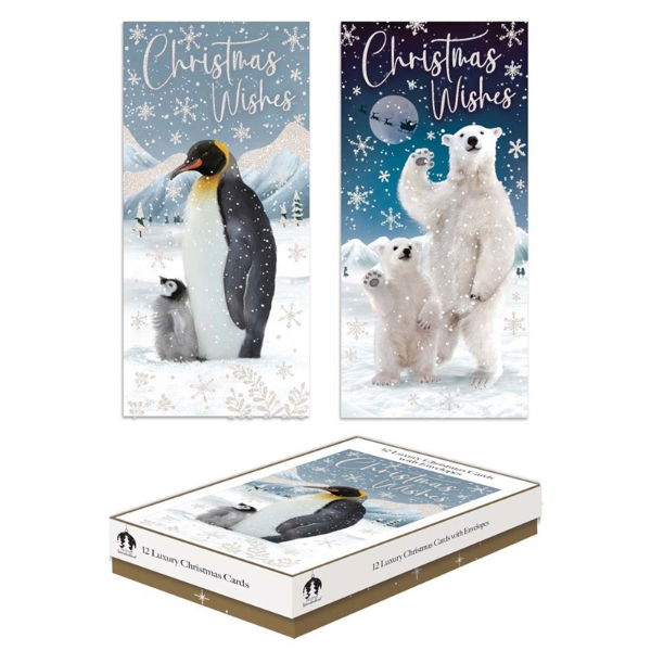 PENGUIN/POLAR BEAR SLIM BOX 12 CDS(24s)