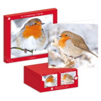 PHOTO ROBIN WINDOW BOX 10 CARDS (24s)