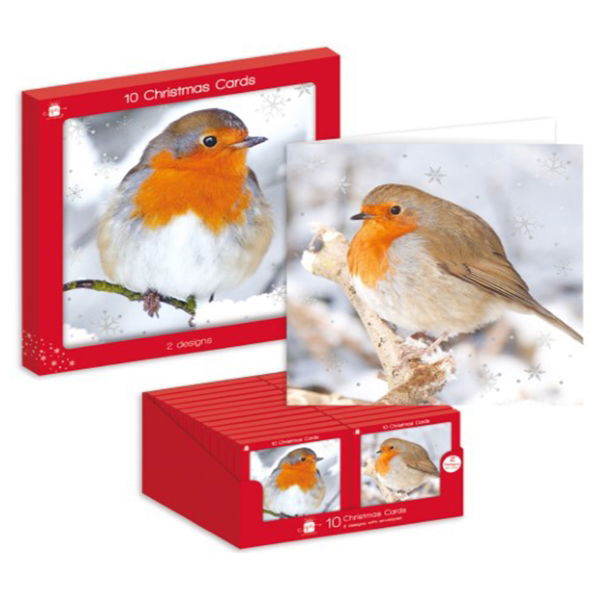 PHOTO ROBIN WINDOW BOX 10 CARDS (24s)