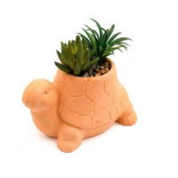 10CM TERRACOTTA TORTOISE PLANT POT (3s)